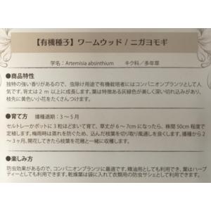 有機種子 固定種 ワームウッド ニガヨモギ 0...の詳細画像1