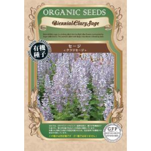 有機種子 固定種 セージ クラリセージ 80粒 種 ハーブ 2026年5月期限