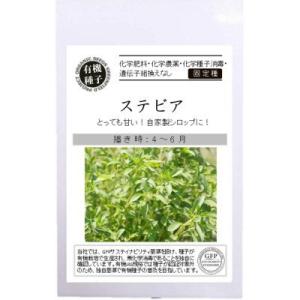 有機種子 固定種 ステビア 6粒 2026年11月期限
