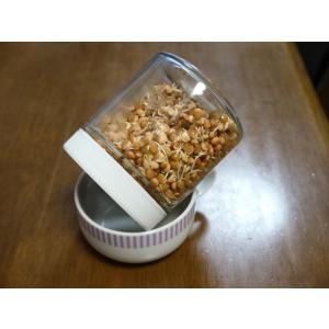発芽豆 スプラウト栽培専用容器 専用ジャーの詳細画像4