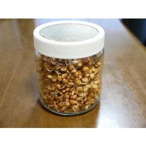 発芽豆 スプラウト栽培専用容器 専用ジャーの詳細画像5
