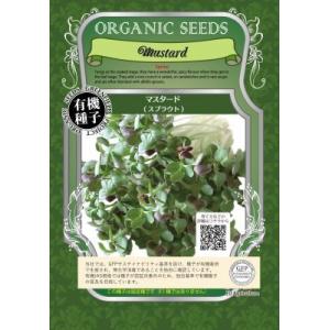 スプラウト マスタード 11ｇ 種 有機種子 固定種 小袋 2026年5月期限