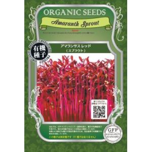 スプラウト アマランサス 2.6ｇ 種 有機種子 固定種 小袋 2027年11月期限