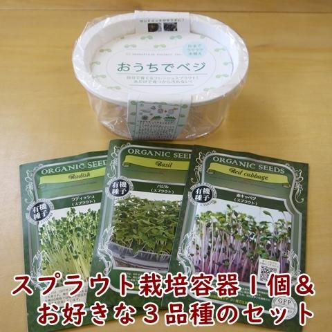 スプラウト栽培容器１個と種を３個選べるセット 送料込 2026年5月〜2026年11月期限