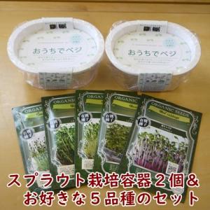 スプラウト栽培容器２個と種を５個選べるセット 送料込 2025年5月〜2025年11月期限｜nicoco