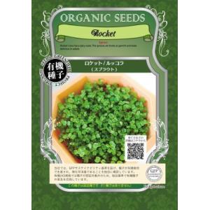 スプラウト 種 ロケット ルッコラ 90g 有機種子 固定種 中袋 2026年11月期限