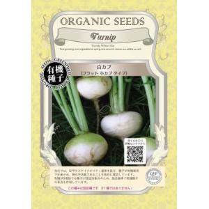 有機種子 固定種 白カブ 1ｄｌ 種 フラット 小カブ  こかぶ 大袋お取り寄せ