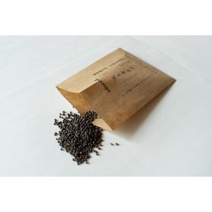 伝統野菜種子 天王寺かぶ 固定種 5ｍｌ 種 大阪市 在来種 2026年5月期限