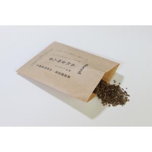 伝統野菜種子 本紅金時人参 固定種 4ｍｌ 種 香川県 在来種 2026年5月期限