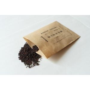 伝統野菜種子 富士早生甘藍 固定種 1.5ｍｌ 種 静岡県富士市 在来種 2026年6月期限