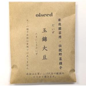 伝統野菜種子 玉錦大豆 だいず 固定種 20ｍｌ 種 在来種 2026年10月期限