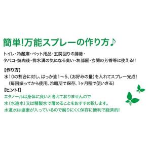 ハッカ油お試し和ハッカ高級和種ハッカ油 天然精...の詳細画像2