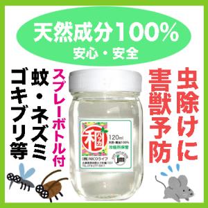 ハッカ結晶 100g 薄荷脳 L-メントール クリスタル : リバティ ライフ