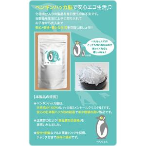 ハッカ脳 100g +増量2g 計102g ペ...の詳細画像3