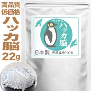 ハッカ脳 20g ＋増量2g 計22g ペンギン, 天然成分100% 和はっか脳 和 ハッカ油 薄荷...