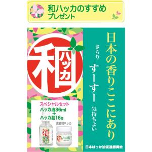 高級和ハッカSPセット 和ハッカ脳16g+和ハ...の詳細画像1