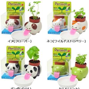 ハーブ 栽培キット　ペロポン