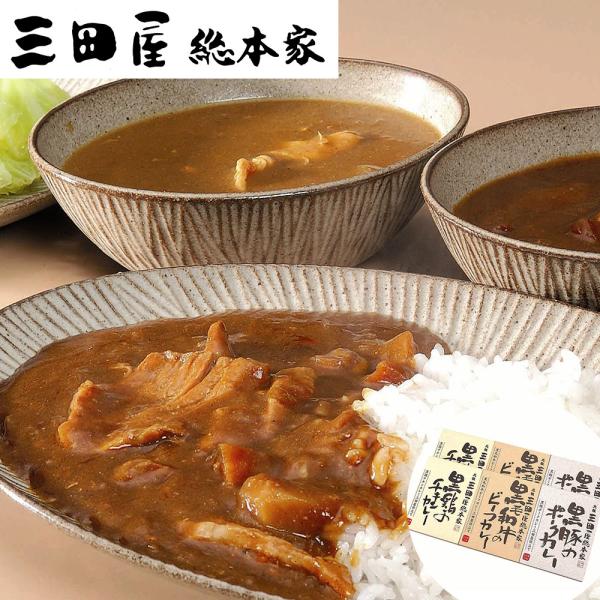 三田屋総本家　カレー詰合せギフト B　ギフト　熨斗　御祝