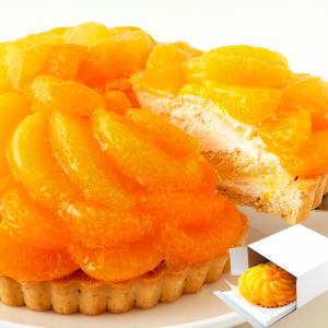 贅沢なオレンジ＆みかんタルト　5号　冷凍　 タルト ケーキ　誕生日　パーティー