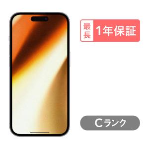 新品未使用 SIMフリー iPhone15 Pro Max 256GB ブルーチタニウム