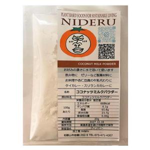ココナッツ ミルク パウダーcoconut milk powder 小袋 20g フィリピン産