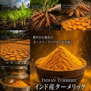 ターメリック パウダー turmeric po...の詳細画像2