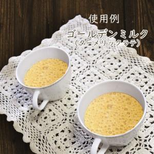 ターメリック パウダー turmeric po...の詳細画像5