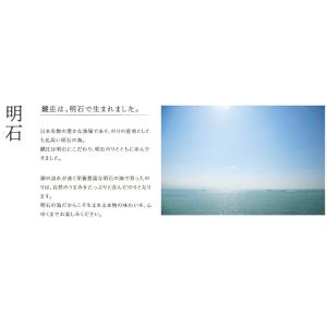 鍵庄 明石のり一番摘み「明石の風」味付け海苔 ...の詳細画像4