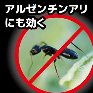 KINCHO コンバット 蟻用駆除剤 6個入 ...の詳細画像4