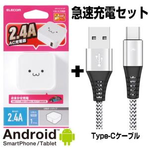 USB Type-C 急速充電ケーブル ＋ 2.4A出力ACアダプタ セット