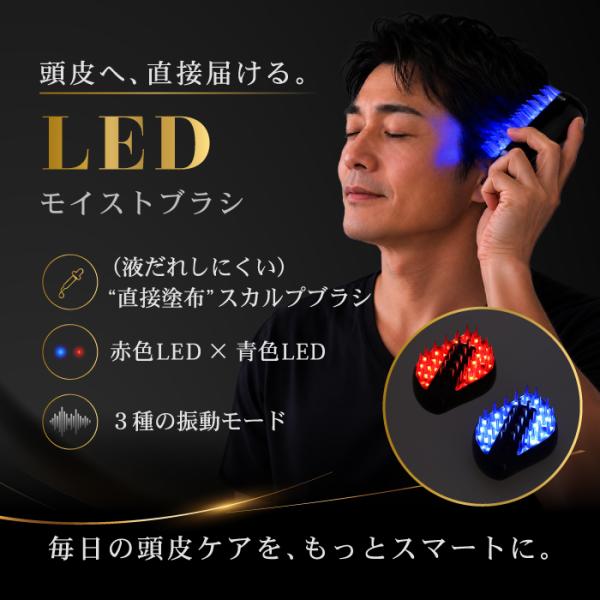 LEDモイストブラシ　スカルプブラシ　頭皮ブラシ　頭皮ケア　スカルプケア　赤色LED　青色LED　バ...