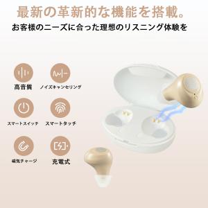 らくらく集音器 両耳用 耳穴式 30倍 増幅 ...の詳細画像3