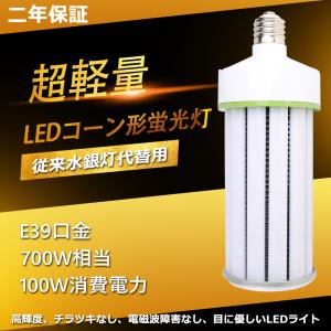 岩崎電気 アイ 水銀ランプ用安定器 80W用 一般形高力率 周波数:50Hz H0