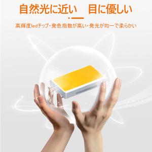LED蛍光灯 40W形 直管120cm FL4...の詳細画像1