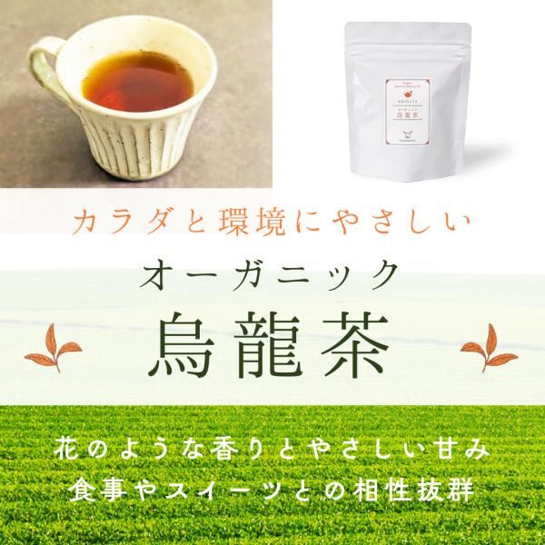 オーガニック 烏龍茶 ティーバッグ 10個入り 国産 美味しいウーロン茶 京都産 希少 有機栽培 無...