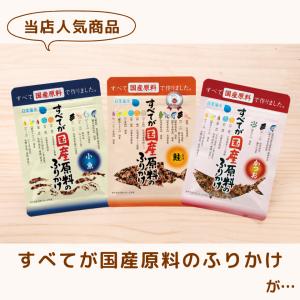 国産原料ふりかけ 鮭 28g 鮭ふりかけ 国産...の詳細画像1