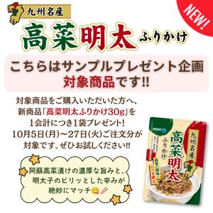 冷や汁の素3個セット| お茶漬け お茶漬 冷や...の詳細画像1