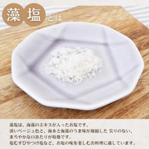 藻塩 瀬戸内の結晶 100g 塩 あらじお こ...の詳細画像1