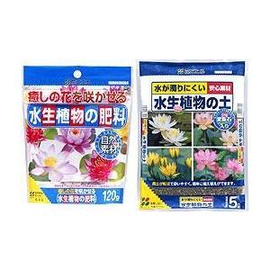 原種クレマチス カザグルマ （日光のカザグルマ） : 日本花卉ガーデン