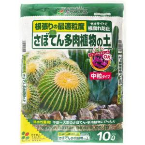 珪酸塩白土-ミリオンA 500g（ブロックシリコ） : 植物・園芸専門店