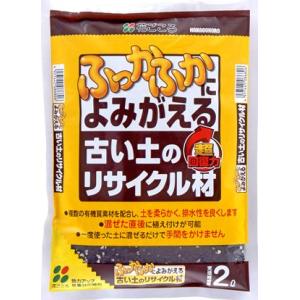 珪酸塩白土-ミリオンA 500g（ブロックシリコ） : 植物・園芸専門店