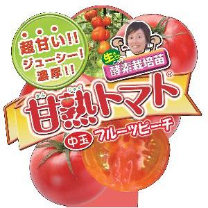 【4月上旬以降発送予定】　甘熟トマト　フルーツピーチ　2ポットセット　野菜 苗 珍しい とまと