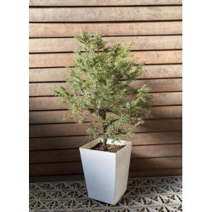 受注生産 薩摩焼 十五代沈壽官作(ちんじゅかん)白薩摩九寸花瓶 本金秋