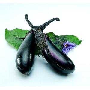 4月中旬以降発送予定 手でさけるほどやわらかい水なす（ナック水なす