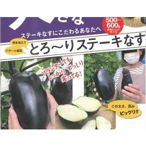 4月中旬以降発送予定　超大きなとろーりステーキなす　 2ポットセット 野菜 苗 珍しい みずなす　ナ...