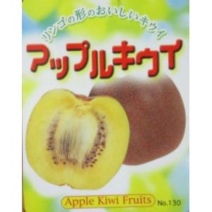 キウイ　苗　キウイの木　キウイフルーツ：アップルキウイ（メス木）：果樹苗