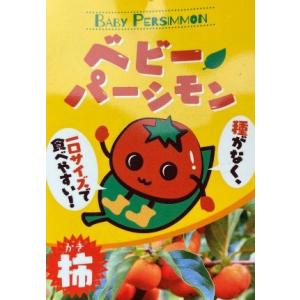 柿　苗木　苗　ベビーパーシモン　(渋柿）　さど乙女　：果樹苗　ミニ八珍柿　＊平核無柿の枝変わり！