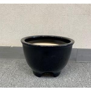 名古屋朝顔鉢（黒釉半月鉢、黒釉朝顔鉢） 名古屋園芸 : 日本花卉