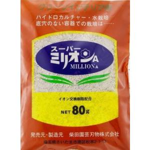 珪酸塩白土-ミリオンA 500g（ブロックシリコ） : 植物・園芸専門店