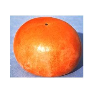 太秋 たいしゅう (甘柿):果樹苗の商品画像